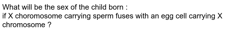 What will be the sex of the child born : if X choromosome carrying sperm fuses with an egg cell carrying X chromosome ?