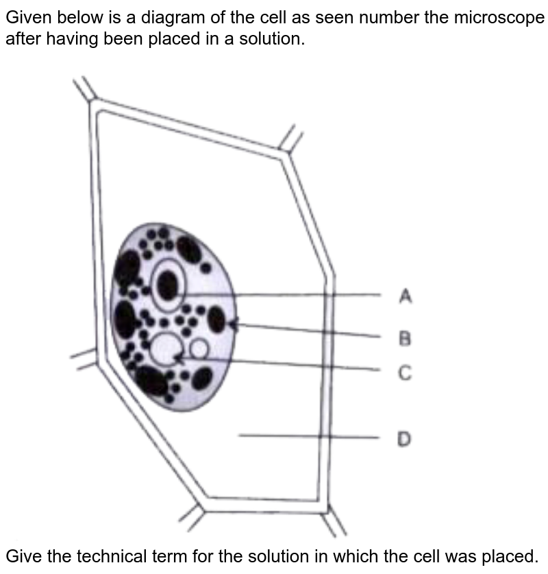 Given below is the diagram of a cell as seen under the microscope
