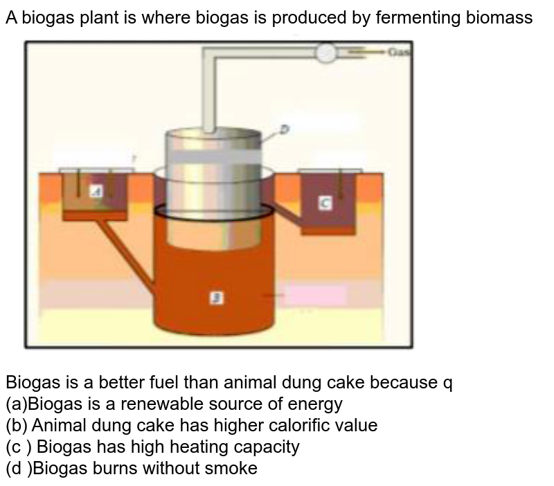 Why is biogas a better fuel than animal dung cakes?