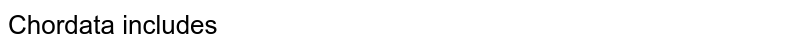 Chordata includes