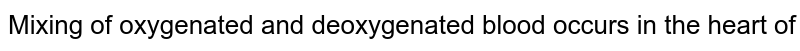 Mixing of oxygenated and deoxygenated blood occurs in the heart of