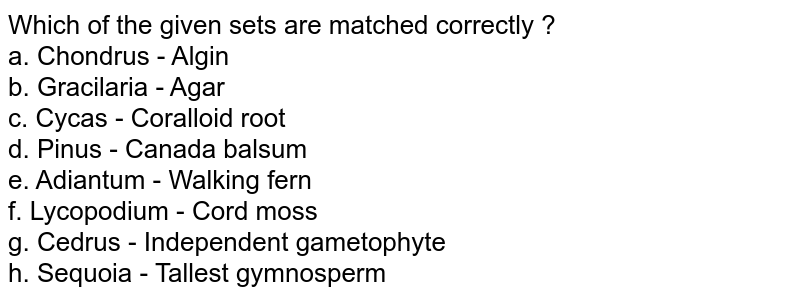 Which of the given sets are matched correctly ? a. Chondrus - Algin b. Gracilaria - Agar c. Cycas - Coralloid root d. Pinus - Canada balsum e. Adiantum - Walking fern f. Lycopodium - Cord moss g. Cedrus - Independent gametophyte h. Sequoia - Tallest gymnosperm