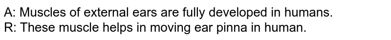 A: Muscles of external ears are fully developed in humans. R: These muscle helps in moving ear pinna in human.