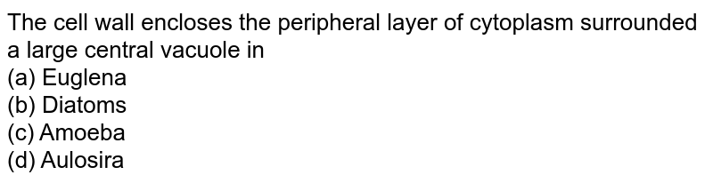 The cell wall encloses the peripheral layer of cytoplasm surrounded a large central vacuole in (a) Euglena (b) Diatoms (c) Amoeba (d) Aulosira