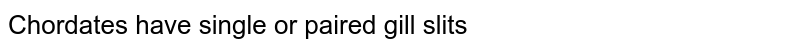 Chordates have single or paired gill slits