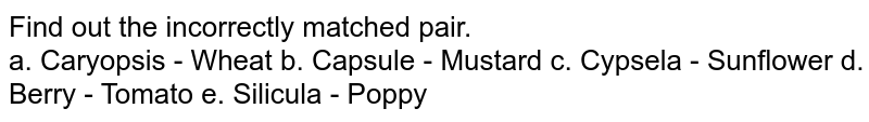 Find out the incorrectly matched pair. a. Caryopsis - Wheat b. Capsule - Mustard c. Cypsela - Sunflower d. Berry - Tomato e. Silicula - Poppy