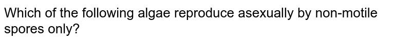 Which of the following algae reproduce asexually by non-motile spores only?