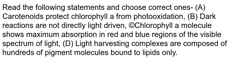 Read the following statements and choose correct ones- (A) Carotenoids protect chlorophyll a from photooxidation, (B) Dark reactions are not directly light driven, ©Chlorophyll a molecule shows maximum absorption in red and blue regions of the visible spectrum of light, (D) Light harvesting complexes are composed of hundreds of pigment molecules bound to lipids only.