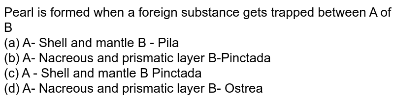 Pearl is formed when a foreign substance gets trapped between A of B (a) A- Shell and mantle B - Pila (b) A- Nacreous and prismatic layer B-Pinctada (c) A - Shell and mantle B Pinctada (d) A- Nacreous and prismatic layer B- Ostrea