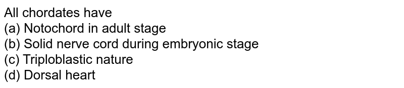 All chordates have (a) Notochord in adult stage (b) Solid nerve cord during embryonic stage (c) Triploblastic nature (d) Dorsal heart