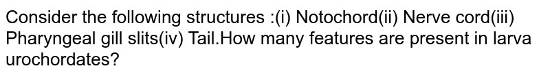 Consider the following structures :(i) Notochord(ii) Nerve cord(iii) Pharyngeal gill slits(iv) Tail.How many features are present in larva urochordates?