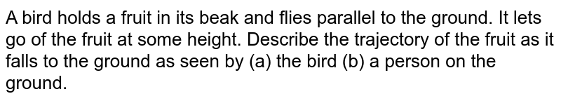 A bird holds a fruit in its beak and flies parallel to the ground. It lets go of the fruit at some height. Describe the trajectory of the fruit as it falls to the ground as seen by (a) the bird (b) a person on the ground.