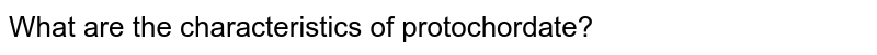 What are the characteristics of protochordate?