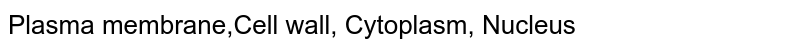 Plasma membrane,Cell wall, Cytoplasm, Nucleus