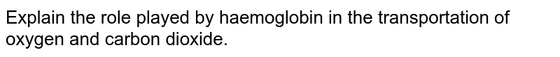 Explain the role played by haemoglobin in the transportation of oxygen and carbon dioxide.