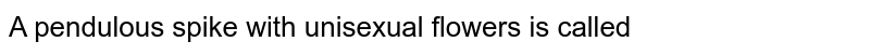 A pendulous spike with unisexual flowers is called
