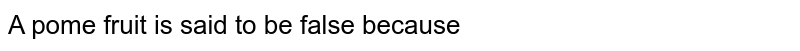 A pome fruit is said to be false because