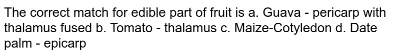 The correct match for edible part of fruit is a. Guava - pericarp with thalamus fused b. Tomato - thalamus c. Maize-Cotyledon d. Date palm - epicarp