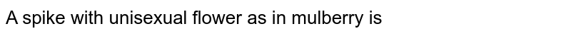 A spike with unisexual flower as in mulberry is