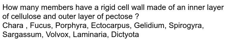How many members have a rigid cell wall made of an inner layer of cellulose and outer layer of pectose ? Chara , Fucus, Porphyra, Ectocarpus, Gelidium, Spirogyra, Sargassum, Volvox, Laminaria, Dictyota