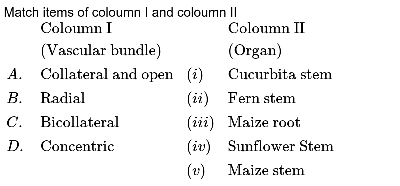Match items of coloumn I and coloumn II {:(,"Coloumn I ",,"Coloumn II"),(,"(Vascular bundle)",,"(Organ)"),(A.,"Collateral and open",(i),"Cucurbita stem"),(B.,"Radial",(ii),"Fern stem"),(C.,"Bicollateral",(iii),"Maize root"),(D.,"Concentric",(iv),"Sunflower Stem"),(,,(v),"Maize stem"):}