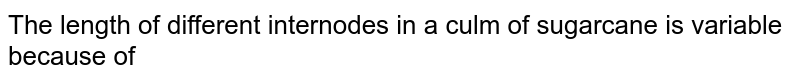 The length of different internodes in a culm of sugarcane is variable because