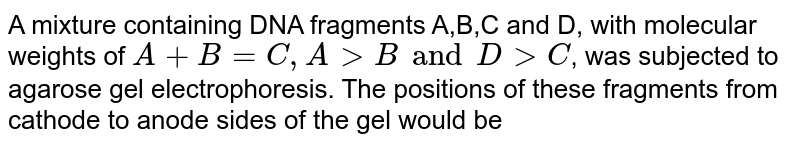 A mixture containing DNA fragments A,B,C and D, with molecular weights of A + B = C,A gt B and D gt C , was subjected to agarose gel electrophoresis. The positions of these fragments from cathode to anode sides of the gel would be