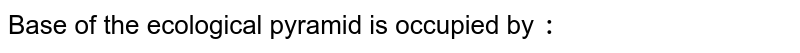 what-does-the-base-tier-of-the-ecological-pyramid-represent