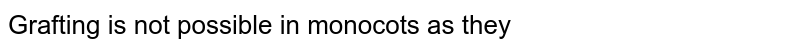 Grafting is not possible in monocots because they