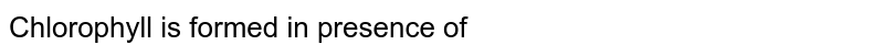 Chlorophyll is formed in presence of