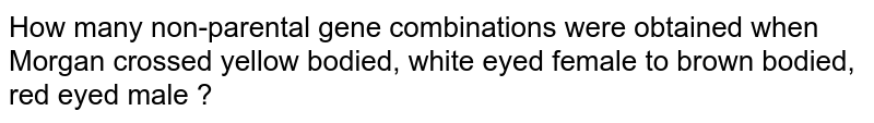 How many non-parental gene combinations were obtained when Morgan crossed yellow bodied, white eyed female to brown bodied, red eyed male ?