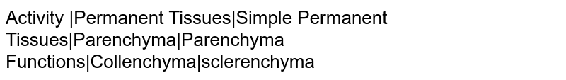 Activity |Permanent Tissues|Simple Permanent Tissues|Parenchyma|Parenchyma Functions|Collenchyma|sclerenchyma