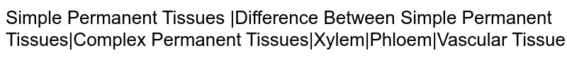 Simple Permanent Tissues |Difference Between Simple Permanent Tissues|Complex Permanent Tissues|Xylem|Phloem|Vascular Tissue
