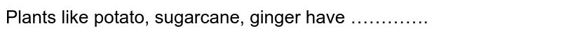 Plants like potato, sugarcane, ginger have ………….