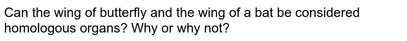 Can the wing of butterfly and the wing of a bat be considered homologous organs? Why or why not?