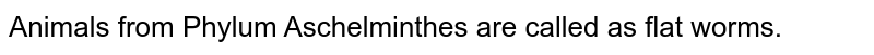 Animals from Phylum Aschelminthes are called as flat worms.