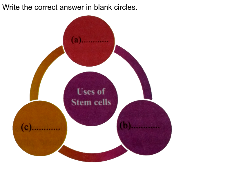 Write the correct answer in blank circles. <br>   <img src="https://doubtnut-static.s.llnwi.net/static/physics_images/UNQ_SCI_TECH_X_P2_C08_E07_016_Q01.png" width="80%">