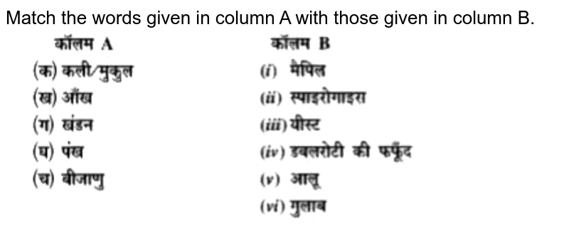 Match the following words in column A with those in column B: Colu