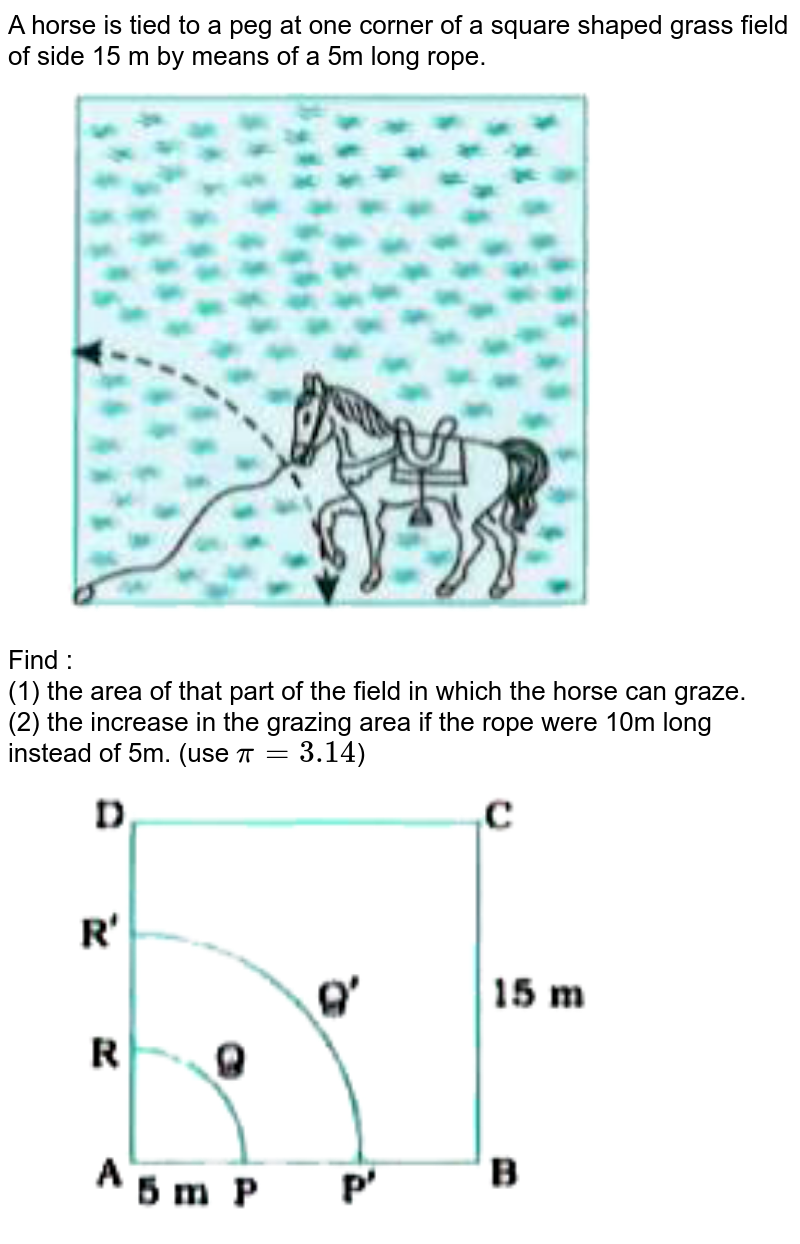 A horse is tied to a peg at one corner of a square shaped grass fi