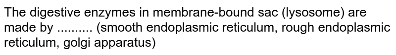 The digestive enzymes in membrane-bound sac (lysosome) are made by .......... (smooth endoplasmic reticulum, rough endoplasmic reticulum, golgi apparatus)