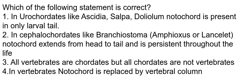 Which of the following statement is correct? In Urochordates like Ascidia, Salpa, Doliolum notochord is present in only larval tail. In cephalochordates like Branchiostoma (Amphioxus or Lancelet) notochord extends from head to tail and is persistent throughout the life All vertebrates are chordates but all chordates are not vertebrates Notochord is replaced by vertebral column