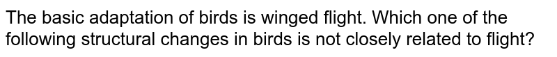 The basic adaptation of birds is winged flight. Which one of the following structural changes in birds is not closely related to flight?