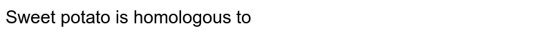 Sweet potato is homologous to :