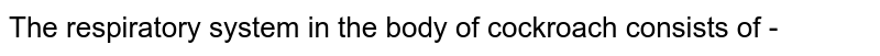 The respiratory system in the body of cockroach consists of -