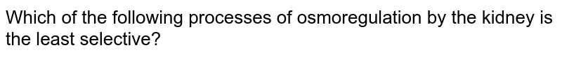 Which Process In The Nephron Is Least Selective? Which Process In The Nephron Is Least Selective?