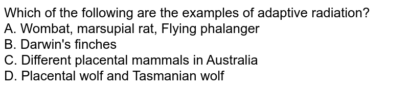 Which of the following are the examples of adaptive radiation? A. Wombat, marsupial rat, Flying phalanger B. Darwin's finches C. Different placental mammals in Australia D. Placental wolf and Tasmanian wolf