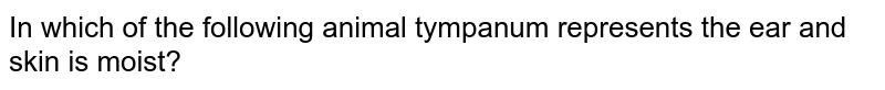 In which of the following animal tympanum represents the ear and skin is moist?