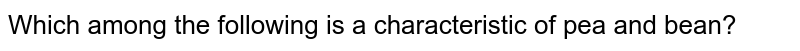 Which among the following is a characteristic of pea and bean?