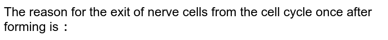 The reason for the exit of nerve cells from the cell cycle once after forming is `:`