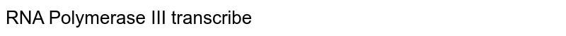 RNA Polymerase III transcribe